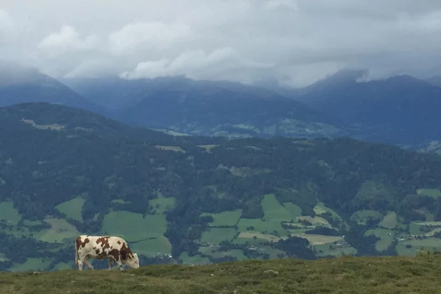 W drodze na Freuenalpen.