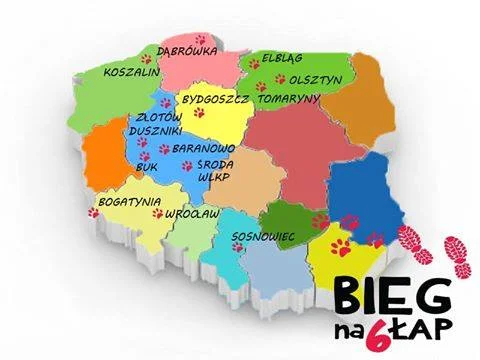 W tych miastach możesz wziąć udział w "Biegu na 6 łap", a może Twoja miejscowość dołączy?
