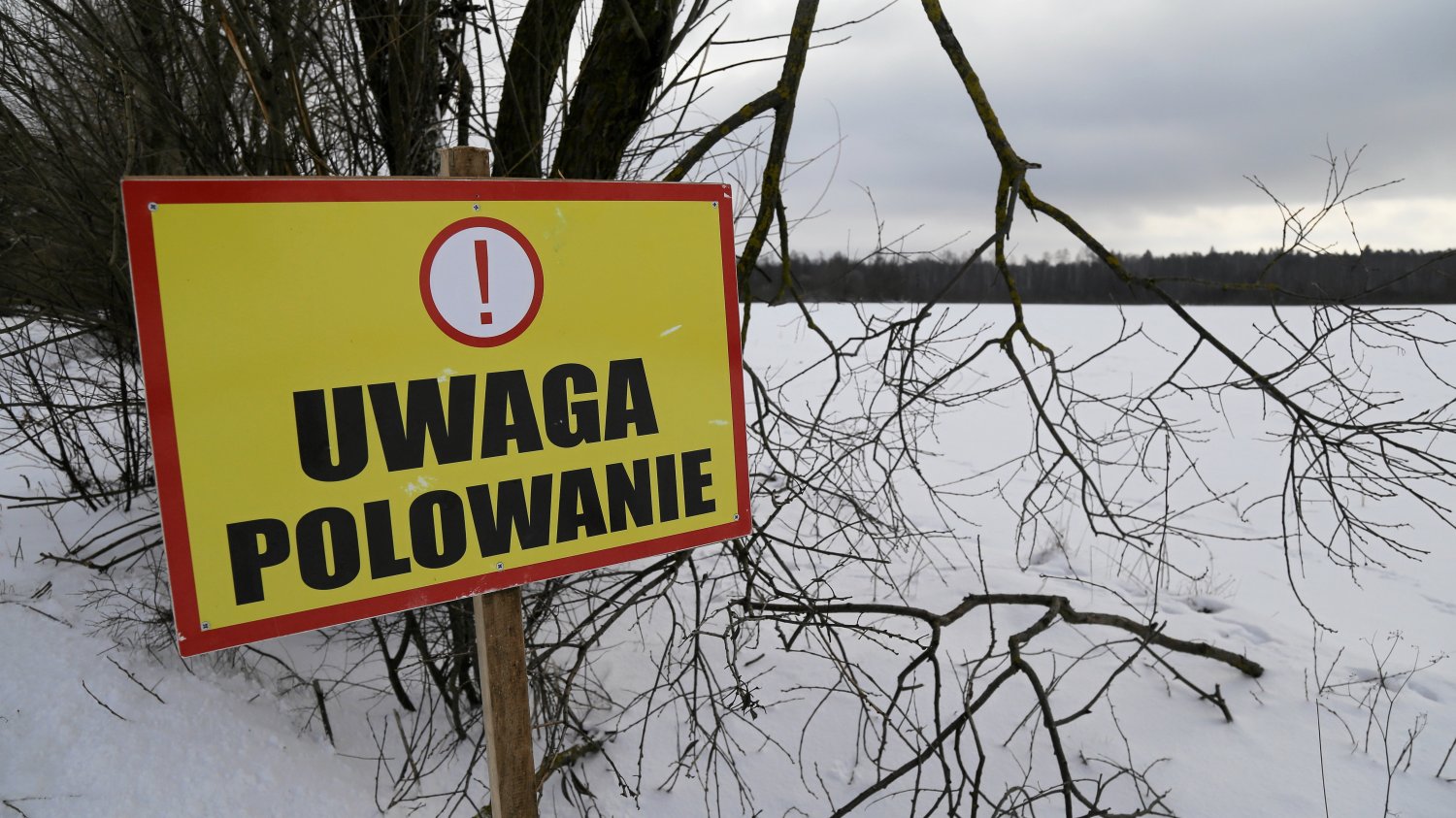 Uwaga polowanie