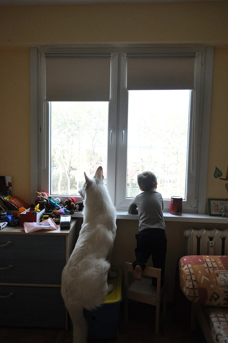 Sam&Riko czekają na tatę...