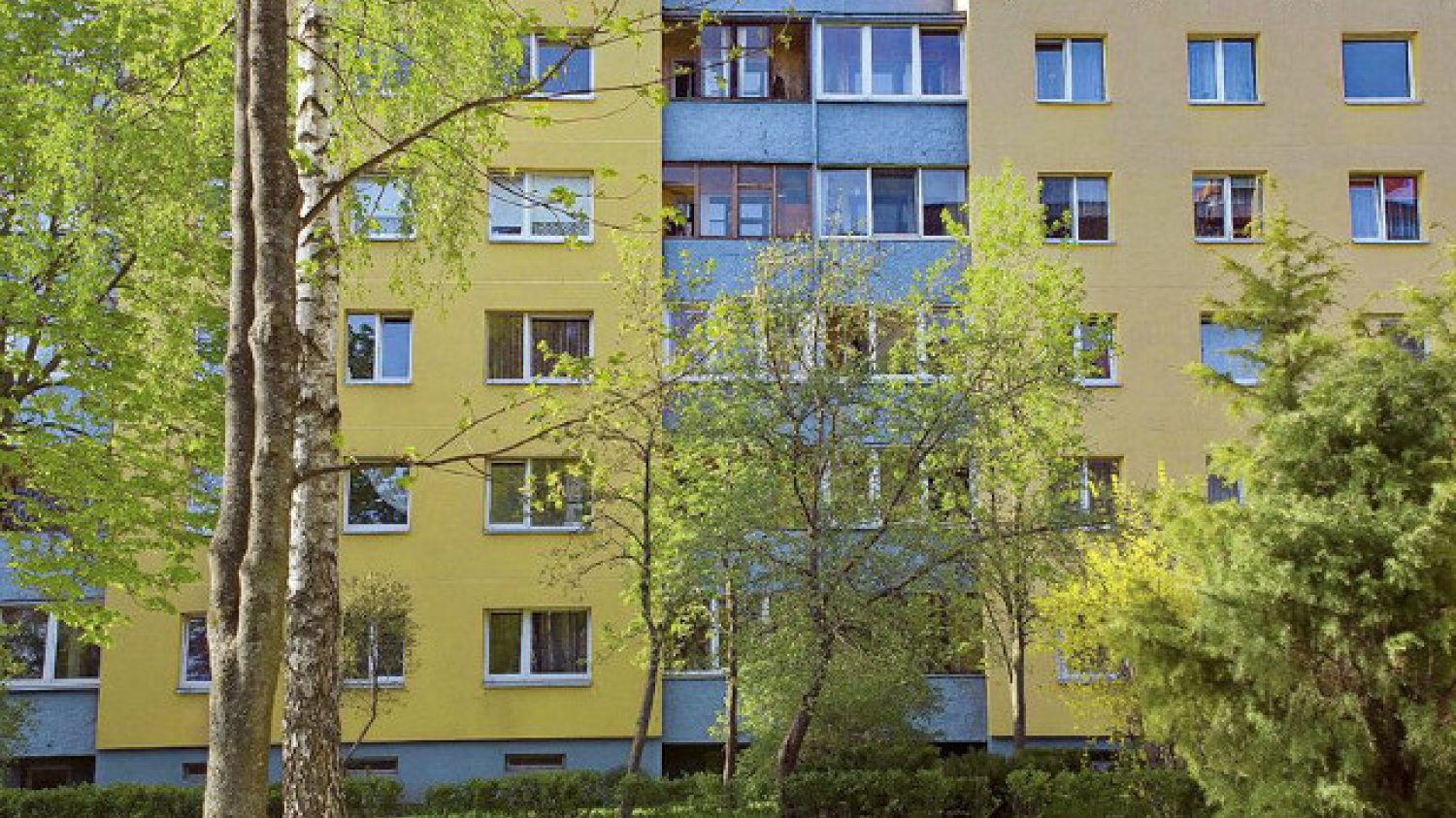 Prawo autorskie: vaitekune / 123RF Zdjęcie Seryjne