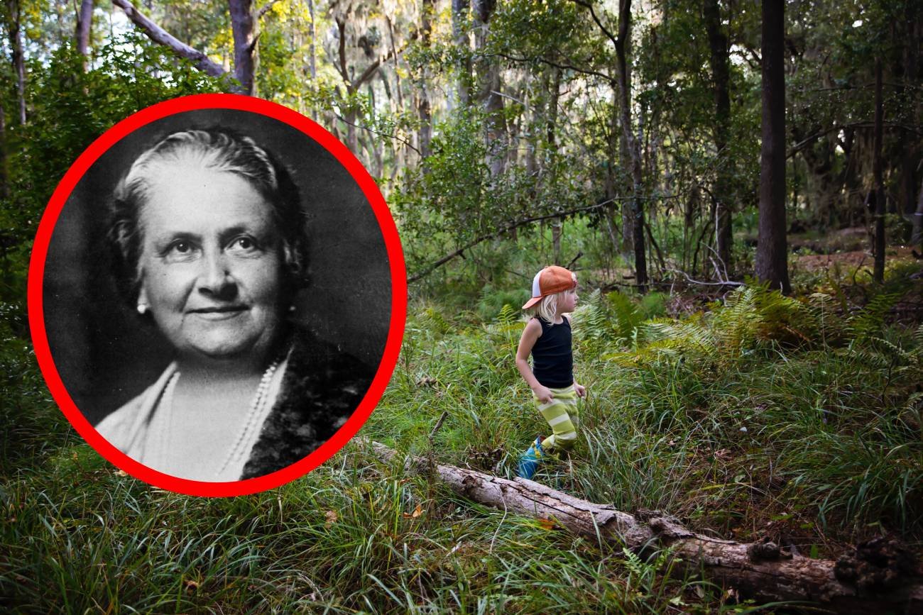 metoda montessori, montessori, nauka dziecka, rozwój mózgu dziecka, wspieranie rozwoju dziecka, nauka zmysłami, neuronauka, badania naukowe o mózgu dziecka