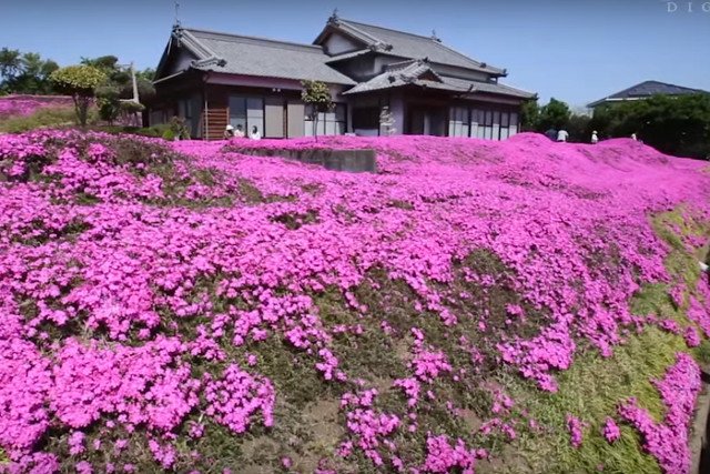 Fot. Screen z Youtube / [url=https://www.youtube.com/watch?v=aVXpBqj67BY]朝日新聞社[/url]