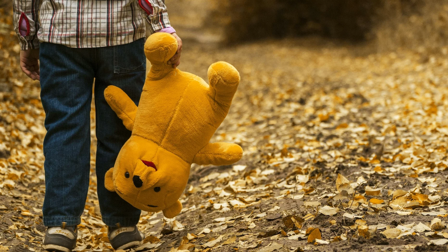 Kubuś Puchatek i tajemnica bohaterów bajki Chłopiec idący w jesiennej scenerii i trzymający maskotkę Kubusia Puchatka