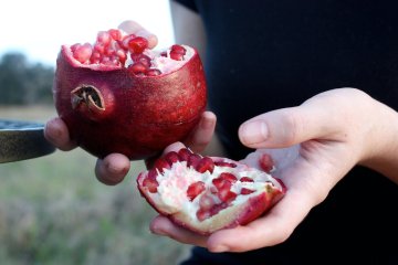 obieranie granatu
