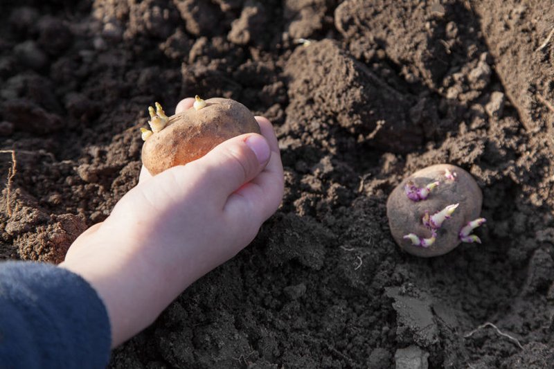 Nauczycielka zadała dzieciom nietypowe zadanie domowe.