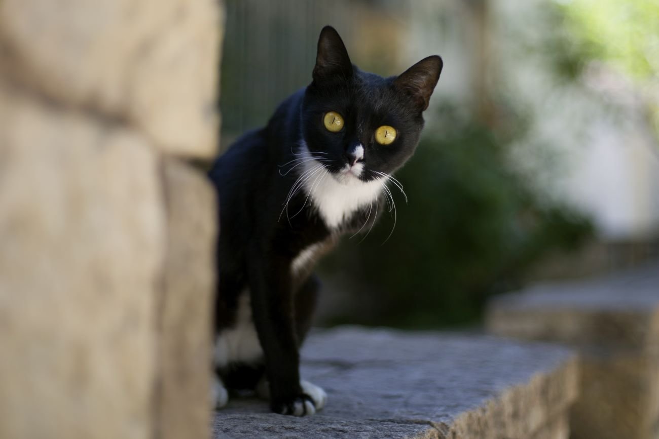 Przesądy piątek trzynastego