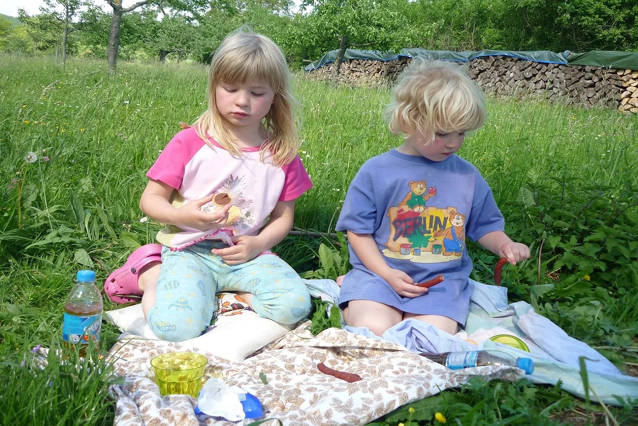 piknik