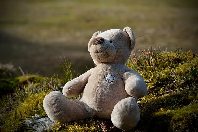 Fot. Pixabay/ [url=http://pixabay.com/pl/misiu-wypchanych-zwierz%C4%85t-pluszaka-551683/]Pezzibear[/url] / [url= http://pixabay.com/pl/service/terms/#download_terms]CC O[/url] Przytulaj bezustannie