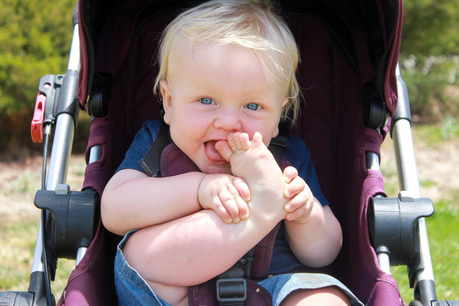 Ugryzienie meszki: czy boli, jak wygląda, co łagodzi , zdjęcia, alergia