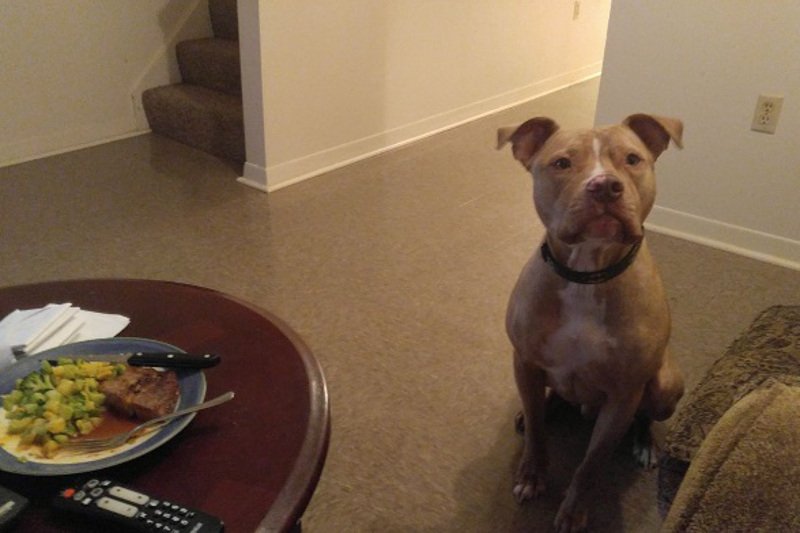 Genialne wytłumaczenie, dlaczego kobiety nie prowokują mężczyzn strojem do gwałtu.