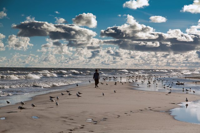 Fot. Materiały prasowe