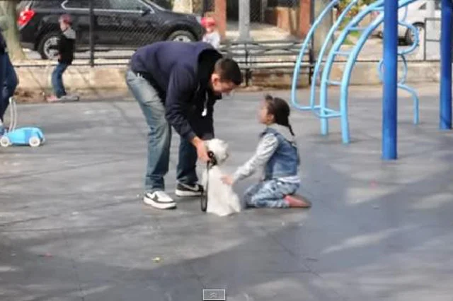 Fot. Screen z YouTube / [url=https://www.youtube.com/watch?v=gGIDHrYKJ2s]JoeySalads[/url]