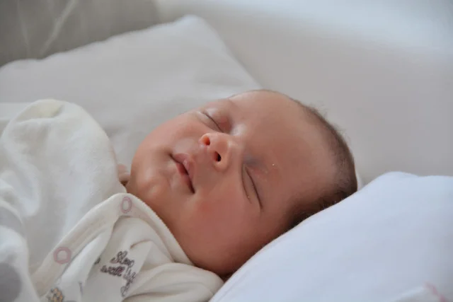 Fot. Pixabay / [url=https://pixabay.com/pl/laurel-baby-sen-bab-bamo-851030/]ferhat66[/url] / [url=https://pixabay.com/pl/service/terms/#usage]CC0 Public Domain[/url]