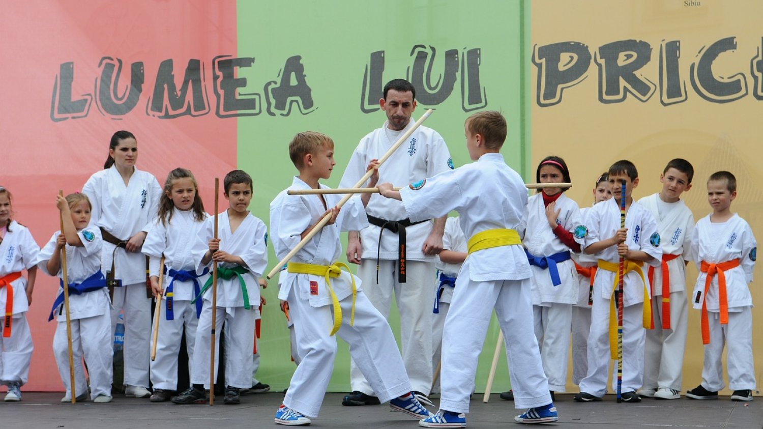 Fot. Pixabay/[url=https://pixabay.com/pl/karate-sztuki-walki-dla-dzieci-etap-502384/]ionasnicolae [/url] / [url=  http://pixabay.com/pl/service/terms/#download_terms]CC O[/url]