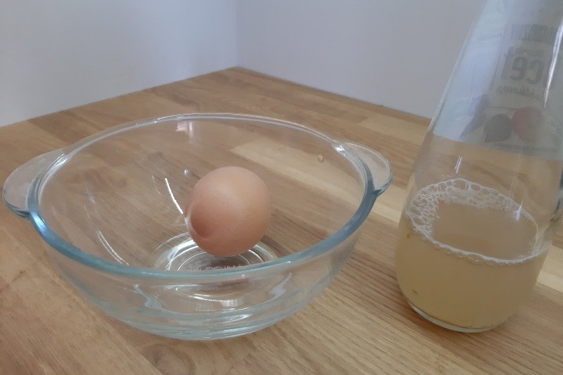 Gumowe jajko - eksperyment z jajkiem i octem