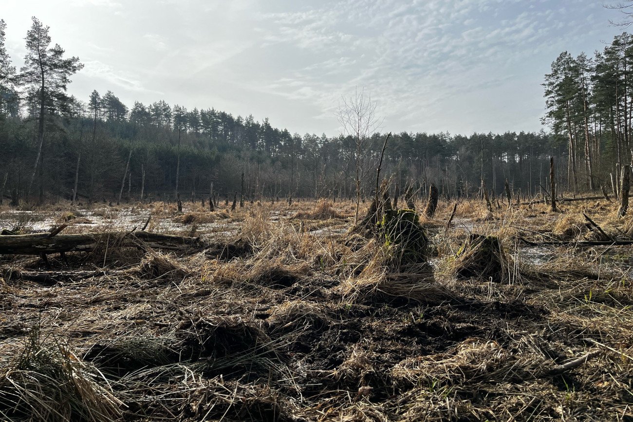 Światowy Dzień Wody. Oto powody, dla których powinien on być obchodzony codziennie