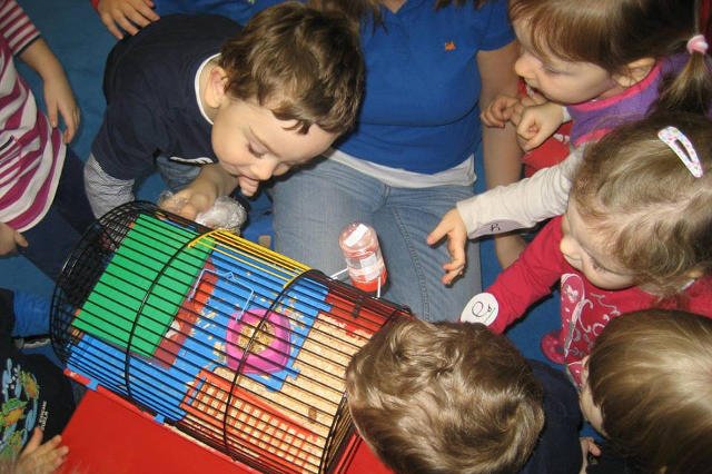 Pomarańczowa Ciuchcia to jedno z kilku przedszkoli, które działają w warszawskich biurowcach.