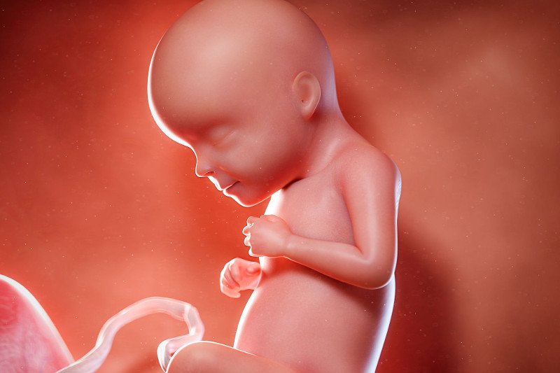 29 tydzień ciąży: jak wygląda dziecko w brzuchu.