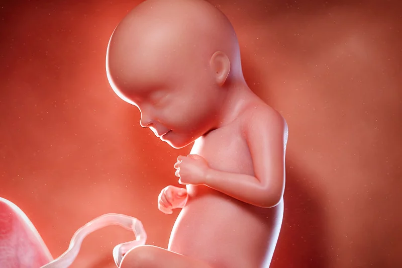 29 tydzień ciąży: jak wygląda dziecko w brzuchu.