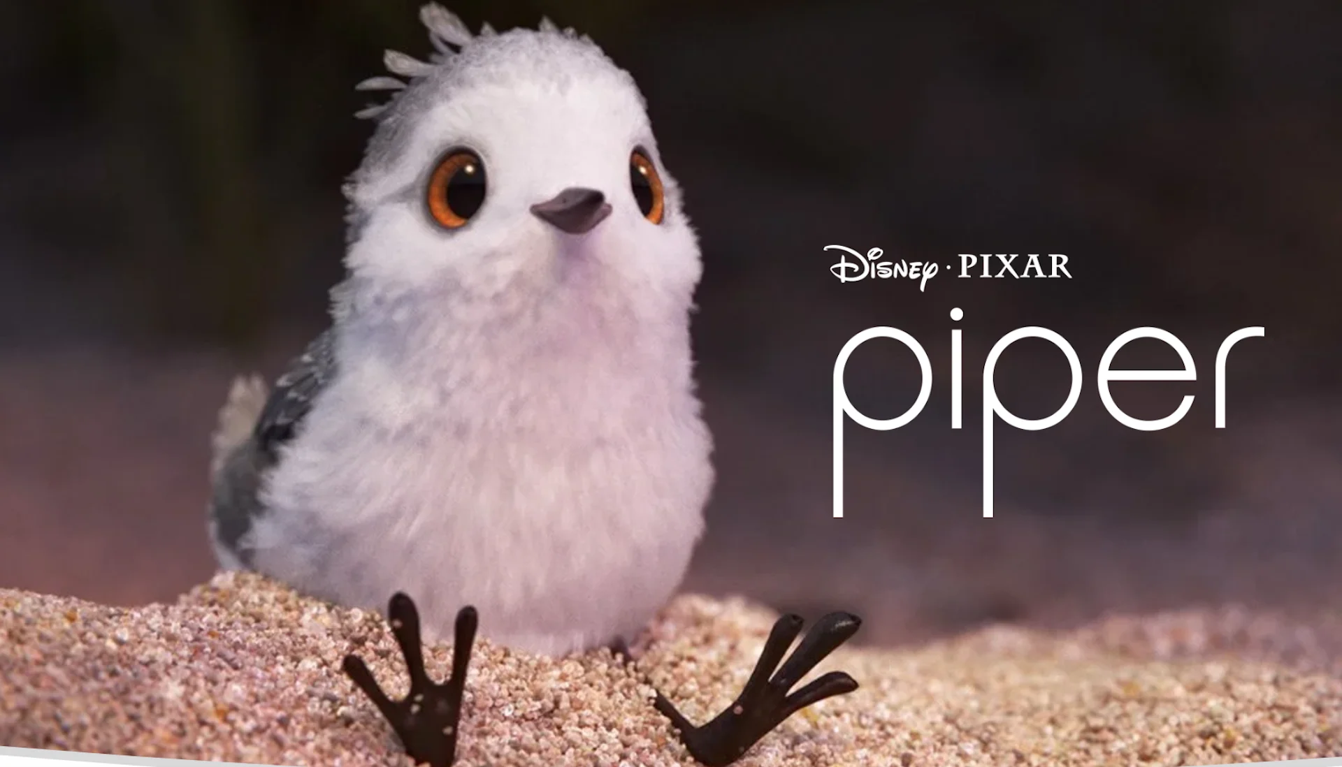 "Piper" "Piper"