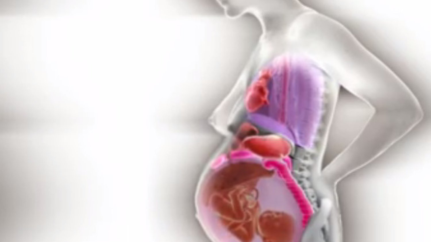 Fot. Screen z Facebook / [url=http://on.fb.me/1NHm7TA]Pregnancy Videos[/url]