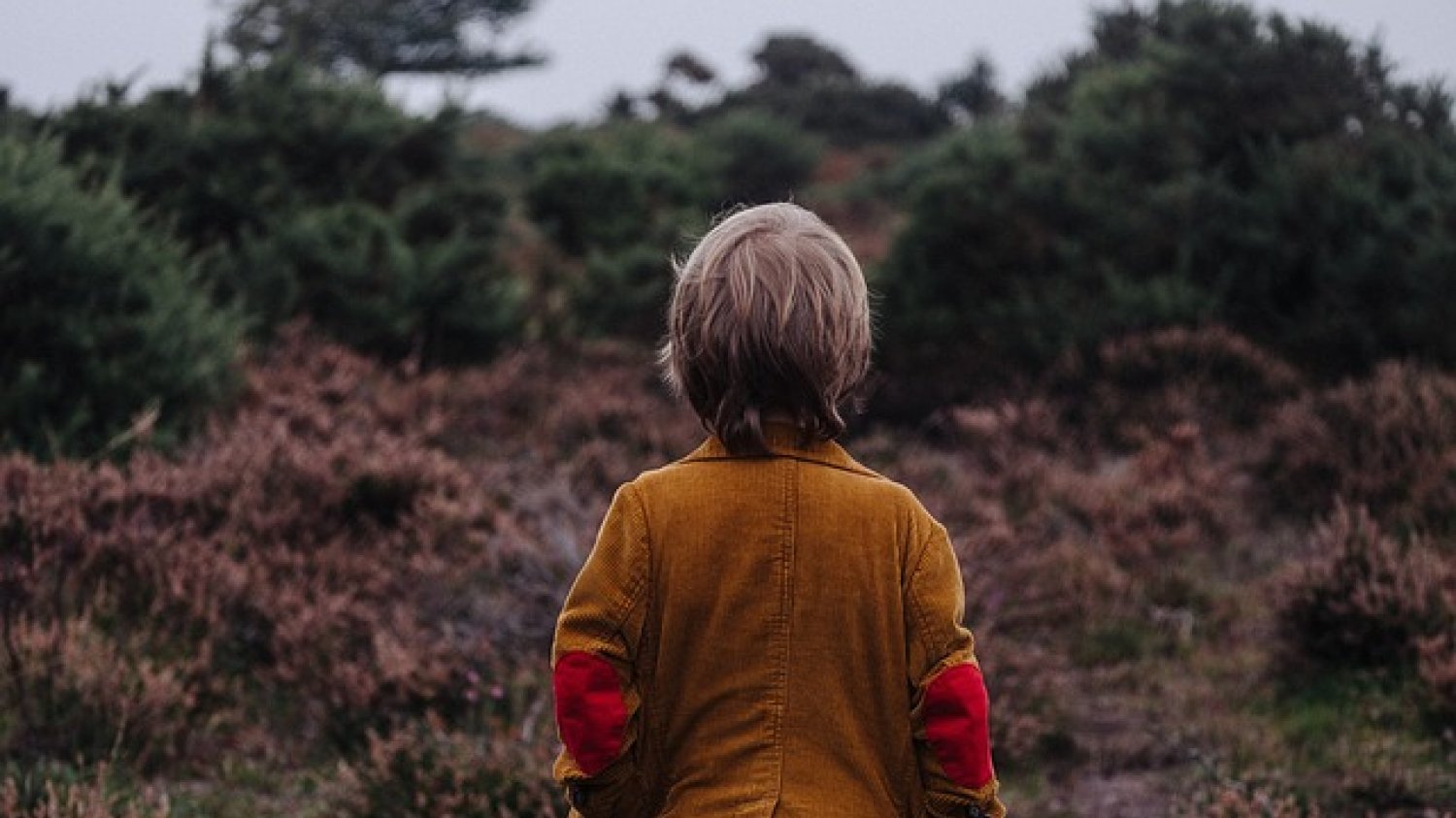 Fot. Pixabay/ [url=https://pixabay.com/en/child-kid-person-outdoors-nature-984041/]Unsplash[/url] / [url=https://pixabay.com/en/service/terms/#usage]CC0 Public Domain[/url]