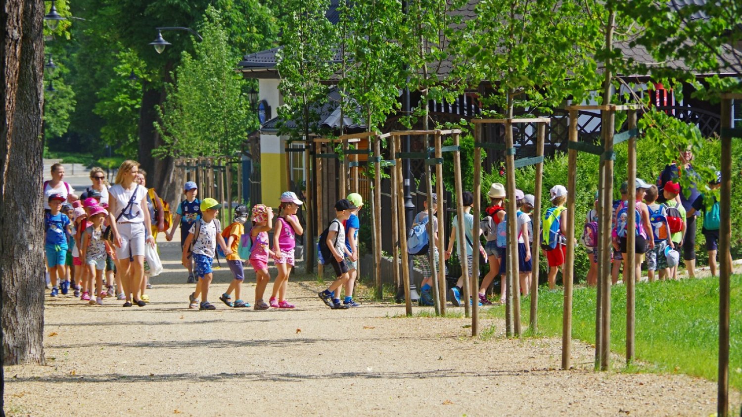 kolonie