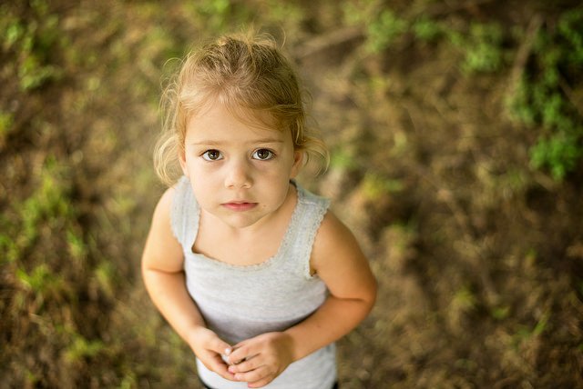 Fot. Flickr / [url=https://www.flickr.com/photos/donnieray/26789562170/]Donnie Ray Jones[/url] /[url=https://creativecommons.org/licenses/by/2.0/] CC BY[/url]