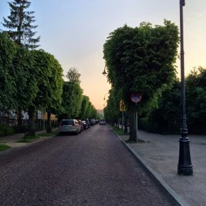 Ulica w Oliwie
