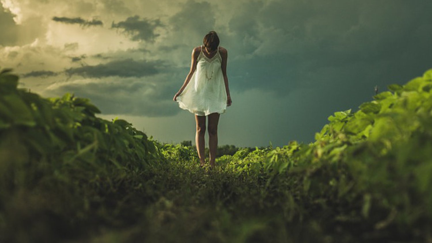 Fot. Pixabay / [url=https://pixabay.com/en/girl-brave-bravery-independence-843076/]Unsplash[/url] / [url= https://pixabay.com/en/service/terms/#usage]CC0 Public Domain[/url]