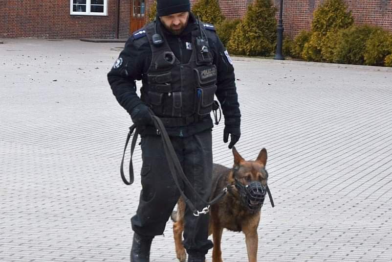 Osoba odpowiedzialna za alarmy bombowe na Mazowszu pozostaje nieuchwytna.