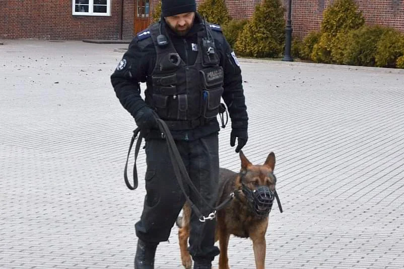 Osoba odpowiedzialna za alarmy bombowe na Mazowszu pozostaje nieuchwytna.