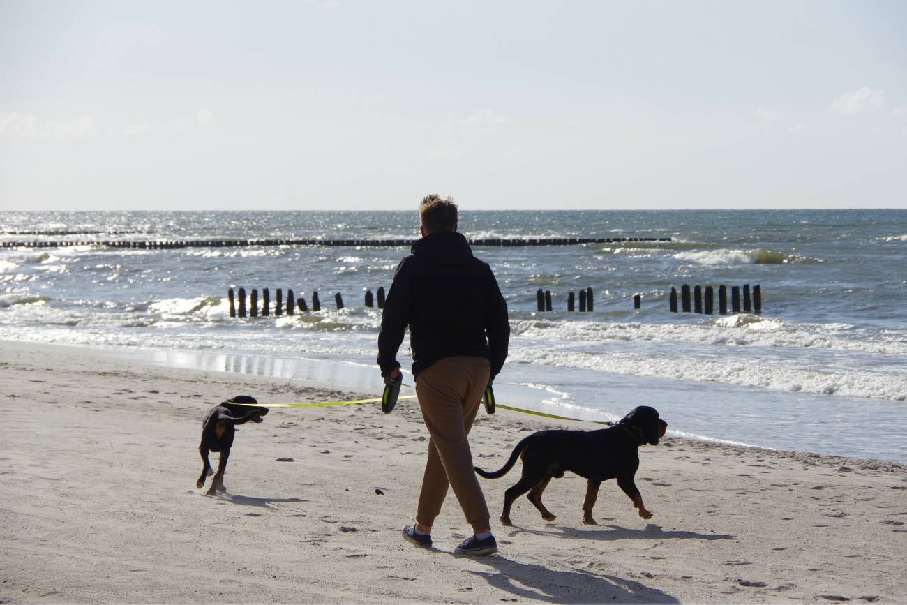 Na plaży chcę odpocząć, a nie bronić dzieci przed psami. Idźcie z psynkami gdzieś indziej