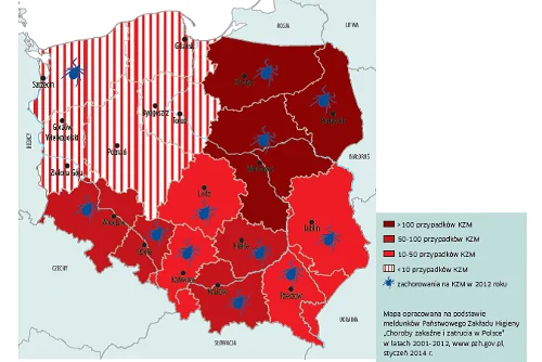 Obszary zagrożone kleszczowym zapaleniem mózgu w latach 2001 – 2012