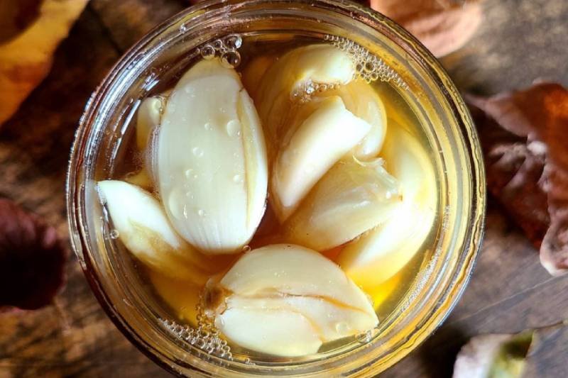 Jak wzmocnić odporność zimą? 10 naturalnych antybiotyków