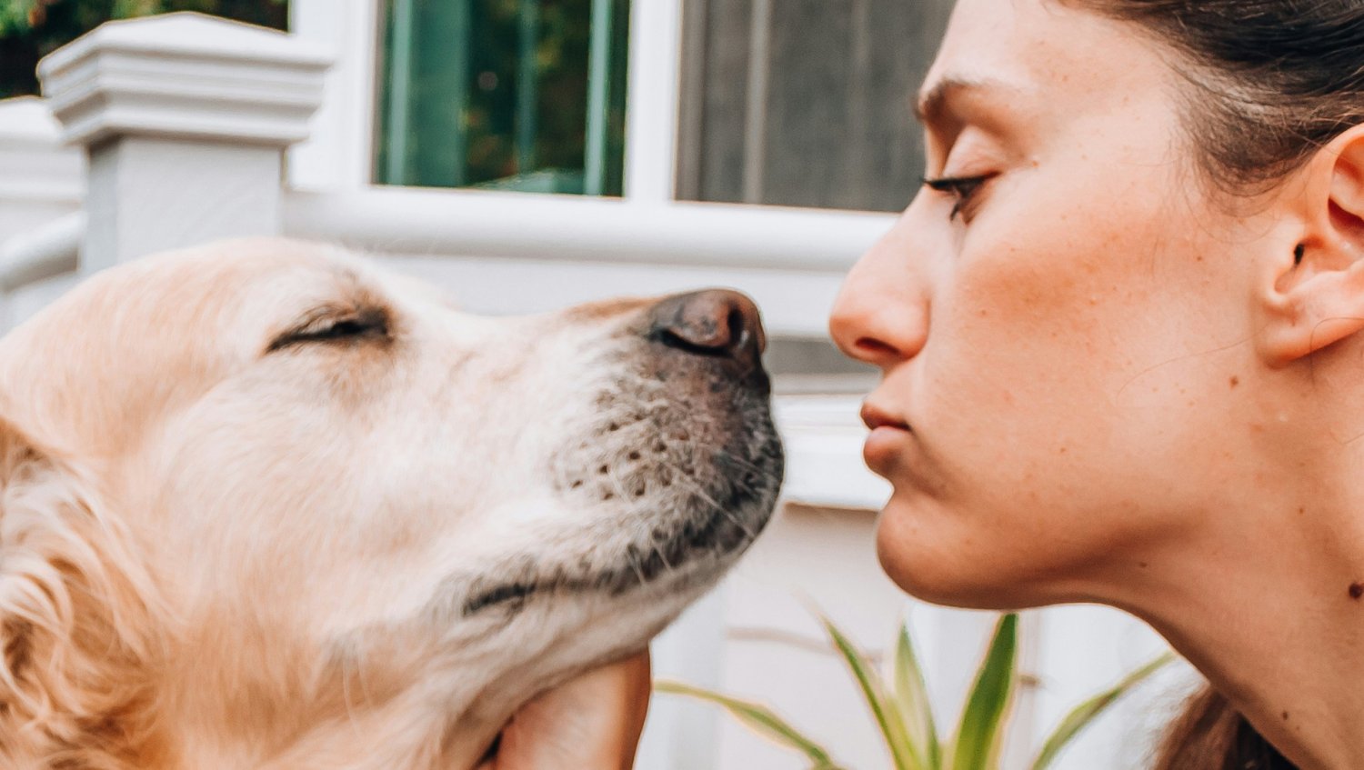 8 znaków, iż twój pies naprawdę cię kocha. Nie robią tak każdemu opiekunowi