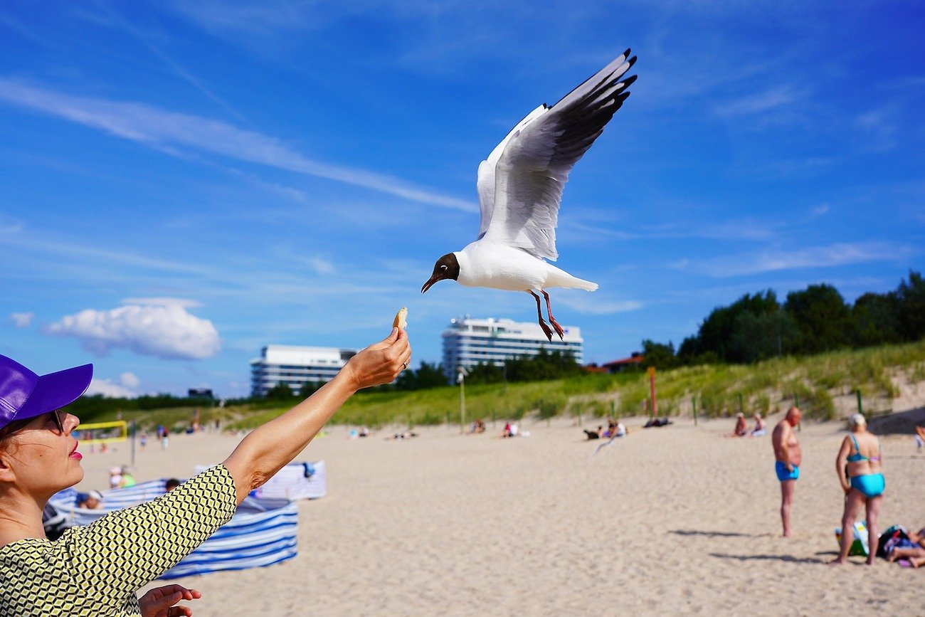 Ten 1 prosty rytuał ratuje mnie każdego lata. Dzięki niemu nie zaczynam wakacji od frustracji