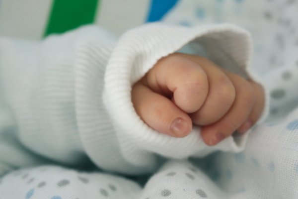 Fot. Pexels / [url=https://www.pexels.com/photo/hand-child-baby-growth-15988/]jianfeng lai[/url]/[url=https://www.pexels.com/photo-license/]CC0 License[/url]