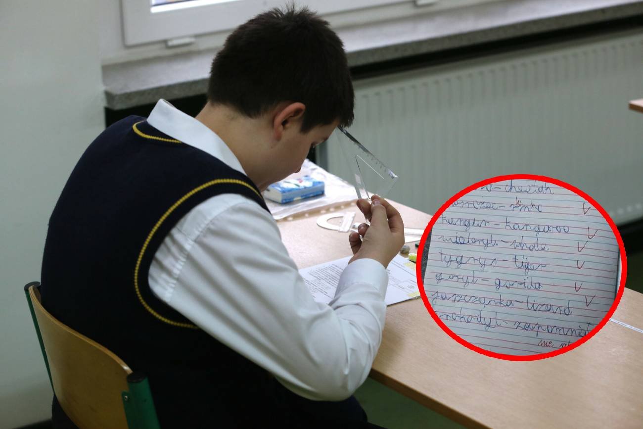 szkoła, kartkówka, sprawdzian, angielski, zdjęcie kartkówki, nauczycielka angielskiego, dobra ocena z kartkówki