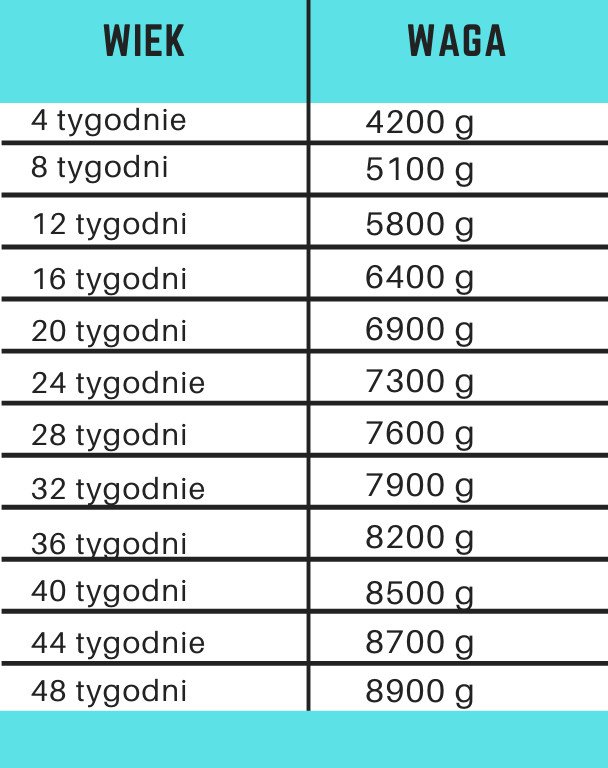 Waga niemowlaka a wiek - ile powinno ważyć dziecko?