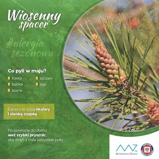 Co pyli w maju? Infografika