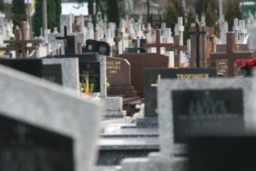 Skandaliczna kradzież na grobach noworodków