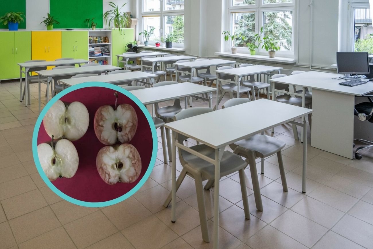 Przyniosła na lekcję 2 jabłka. Słowa nauczycielki zapadną uczniom w pamięć na lata