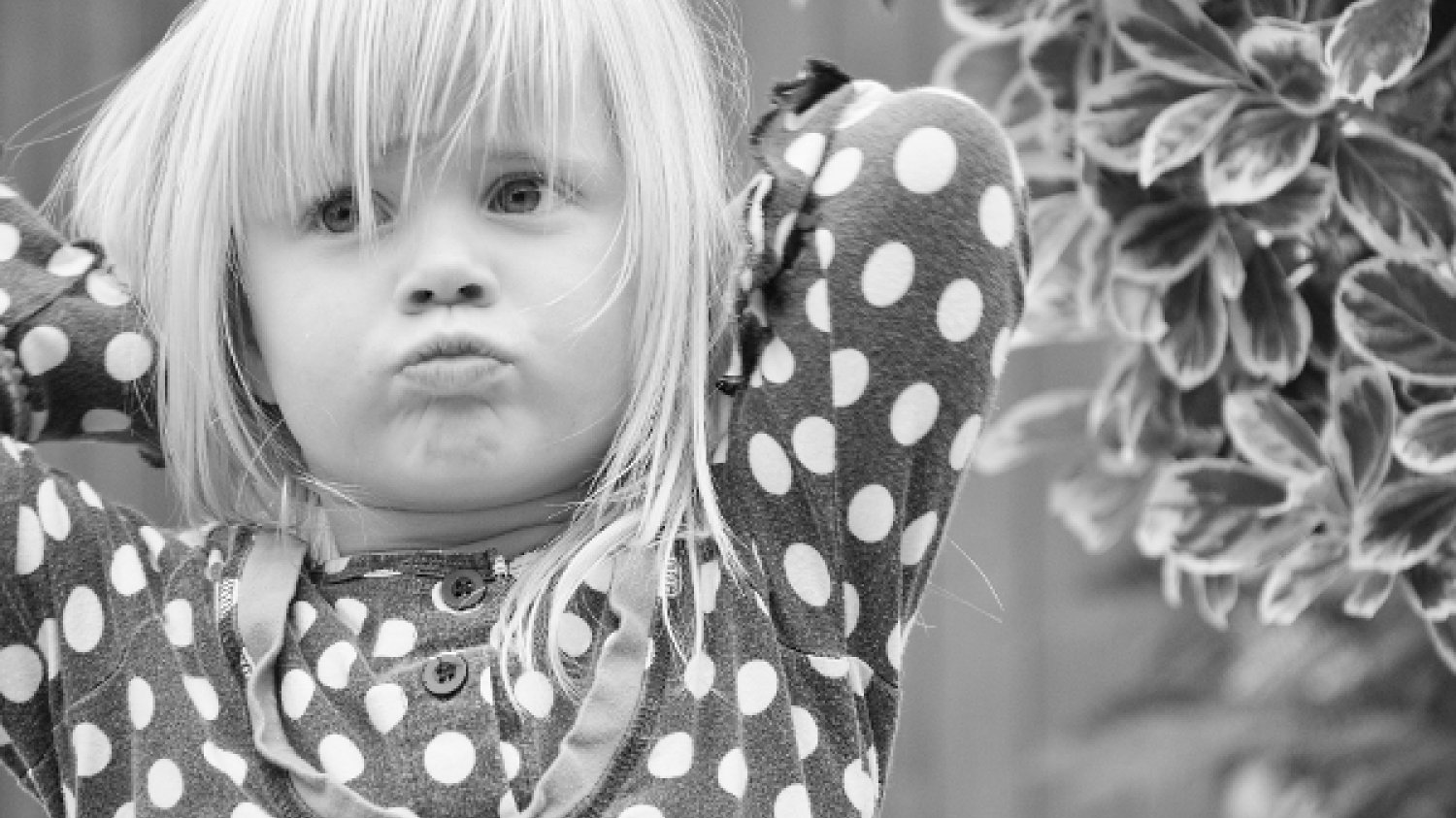 Fot. Pexels / [url=https://pixabay.com/en/girl-child-blond-pout-offended-537104/]Pezibear[/url]/[url=https://pixabay.com/en/service/terms/#usage]CC0 Public Domain[/url]
