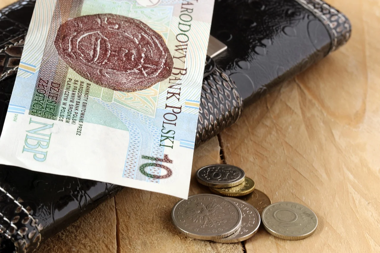 Kolekcjonerzy poszukują wyjątkowych banknotów 10 złotowych