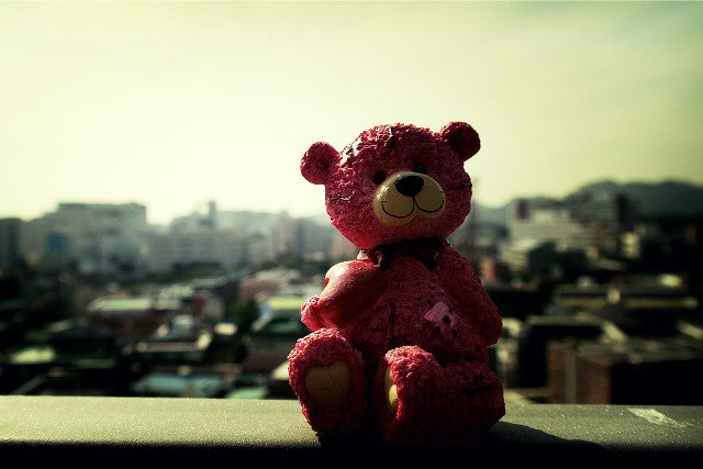 Fot. Pixabay / [url=https://pixabay.com/pl/teddy-nied%C5%BAwied%C5%BA-zabawka-603092/]Tentes[/url] / [url=https://pixabay.com/pl/service/terms/#usage]CC0 Public Domain[/url]