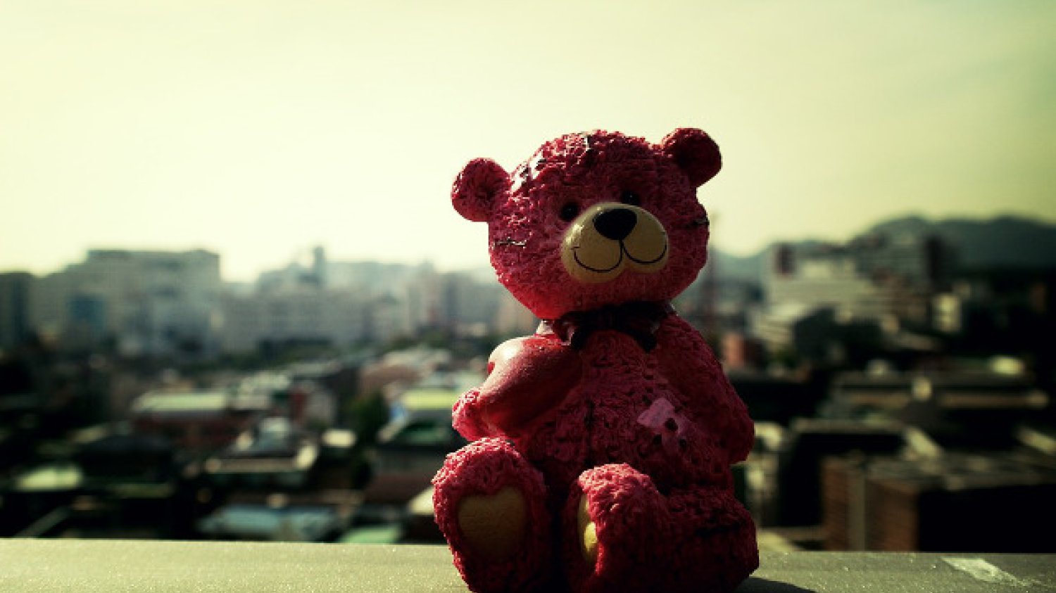 Fot. Pixabay / [url=https://pixabay.com/pl/teddy-nied%C5%BAwied%C5%BA-zabawka-603092/]Tentes[/url] / [url=https://pixabay.com/pl/service/terms/#usage]CC0 Public Domain[/url]