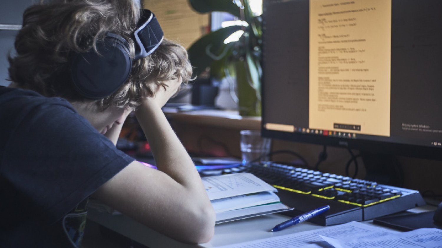 Jak bezpiecznie prowadzić lekcje online