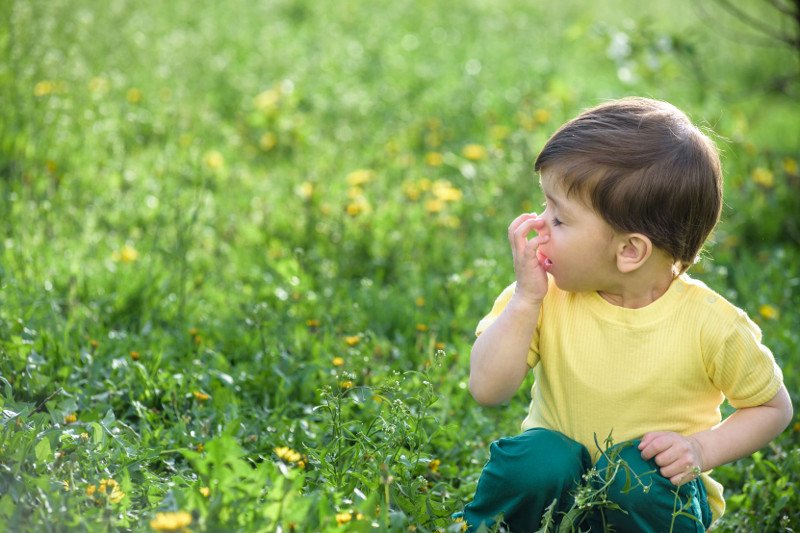 co pyli w maju - lista alergenów